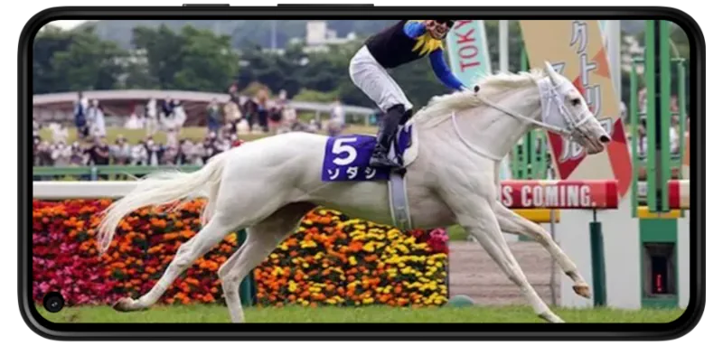 Horse Racing Apps screenshot