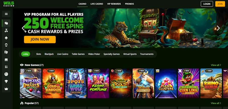 Wild Casino screenshot